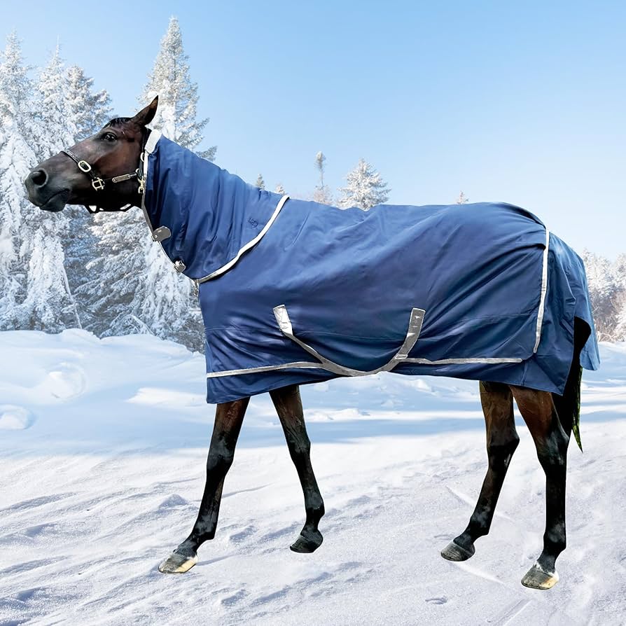 Amazon.com : Winter 1800D Premium Turnout Horse Blanket